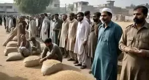 Farmers protests intensify in Punjab province as politicians play blame game in Pakistan