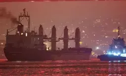 Ukraines agricultural exports via Black Sea return to pre-conflict level