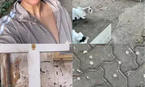 Nimrat Kaur shares glimpses of Bandra mornings, wishes Happy May Day