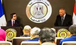 Egyptian, French FMs discuss Gaza developments, truce proposal