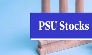 PSU stocks among top gainers in trade