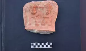 ASI finds articles from Shunga period in Rajasthans Braj region (Ld)