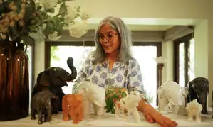 Zeenat Aman urges industry colleagues to avoid bringing wild animals to sets at all costs