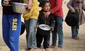 Risk of famine still present in Gaza: WHO