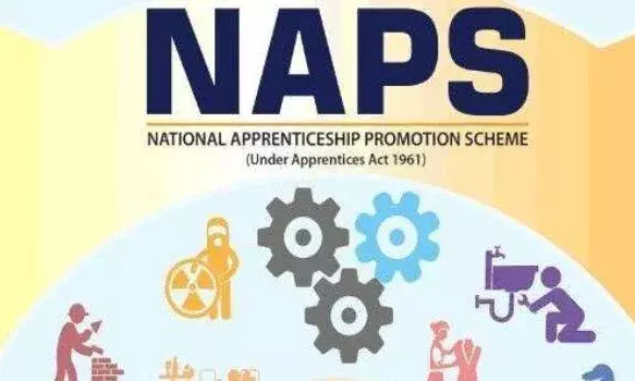 NAPS Records Remarkable Surge in Enrollment, Driving Inclusive Economic Growth NAPS Records Remarkable Surge in Enrollment, Driving Inclusive Economic Growth