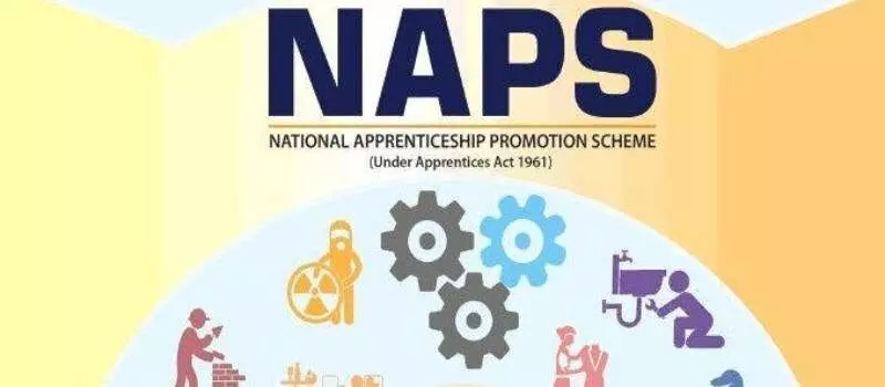 NAPS Records Remarkable Surge in Enrollment, Driving Inclusive Economic Growth