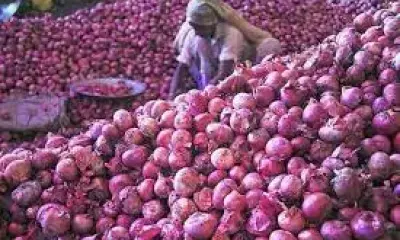 Govt lifts ban on onion exports with price rider