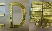 ED recovers over 19 kg gold from bank locker of cyber thug