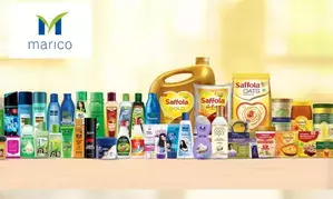 Marico posts 5.3 pc rise in q4 net profit, declares dividend of Rs 6.50 per share