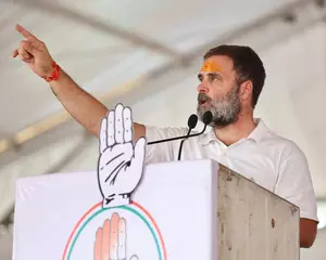 Reservation quota will increase beyond 50 pc if Cong forms govt: Rahul Gandhi in MP