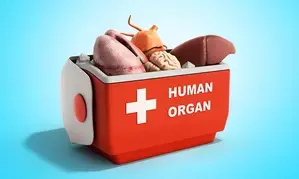Fake NOCs for organ transplant: SMS Medical College principal, SMS Hospital superintendent relieved from posts