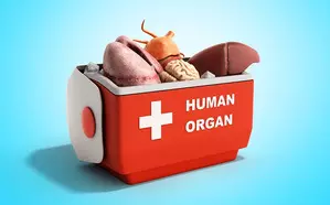 Fake NOCs for organ transplant: SMS Medical College principal, SMS Hospital superintendent relieved from posts Fake NOCs for organ transplant: SMS Medical College principal, SMS Hospital superintendent relieved from posts