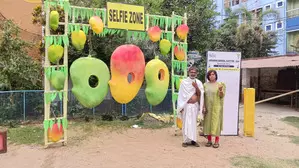 61.45 per cent turnout in third phase, says EC; LS polls cross halfway mark