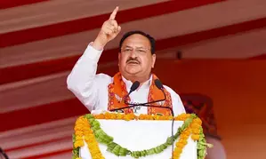 Congress can only sow seeds of hatred in society, says BJP chief Nadda