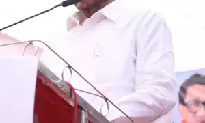 After Maha polls, Sharad Pawar to campaign in other states from May 20