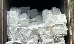 70.42 lakh pharma opioids seized in Punjab