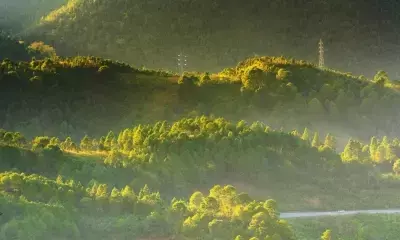 India’s forest cover increased consistently over last 15 years: Environment Ministry at UN forum