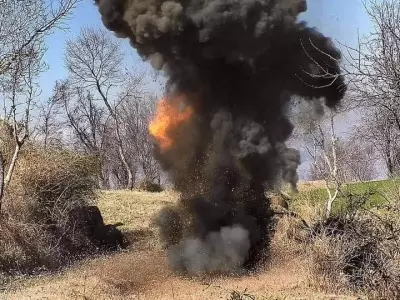 7 killed in attacks on Pakistani security forces near Afghan border