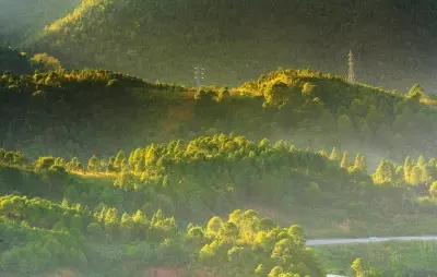 India’s forest cover increased consistently over last 15 years: Environment Ministry at UN forum