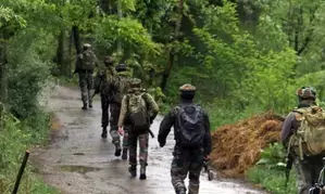 Pakistani intruder arrested near LoC in Jammu