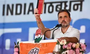 Odisha: Rahul Gandhi urges people to save Constitution