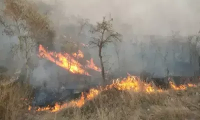 SC summons Uttarakhand Chief Secretary on May 17 over forest fires