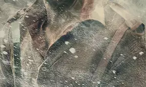 Kartik Aaryans proudest moment; shares Chandu Champion war sequence