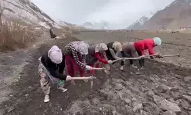 In secluded hamlets of Himachal, political intrigue seems a world away!