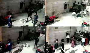 Five held for attempt to murder for assaulting neighbour, pet dog in Hyderabad