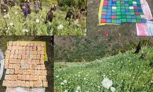 Drugs valued at Rs 7,887.76 cr seized; 2,943 held in 7 years in Manipur: Official