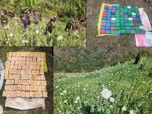 Drugs valued at Rs 7,887.76 cr seized; 2,943 held in 7 years in Manipur: Official