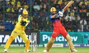 IPL 2024: Virat Kohli could go well past his IPL 2016 performance, says Matthew Hayden