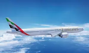 Emirates plane damaged by Flamingo hit, return Dubai flight scheduled tonight