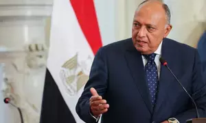 Egypts Foreign Minister visits Iran for first time to attend funeral  of late president