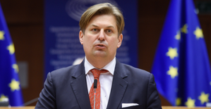 Germanys far-right AfD bans EU top candidate from public appearances