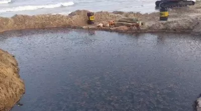 Nagapattinam oil leak: NGT imposes Rs 5 crore fine on Chennai Petroleum Corporation Ltd