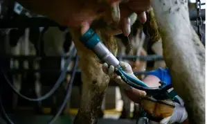 US confirms another human H5 bird flu case tied to dairy cow outbreak