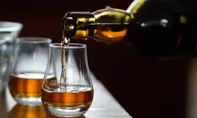 Kerala Assembly committee gives nod to pubs at IT parks