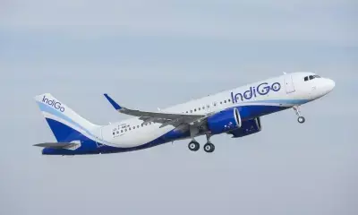 IndiGo net profit doubles to Rs 1,895 crore in Jan-March quarter