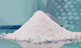 Greece seizes 200 kg of cocaine in frozen shrimp container