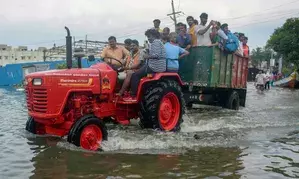 15 dead in rain-related incidents in Tamil Nadu