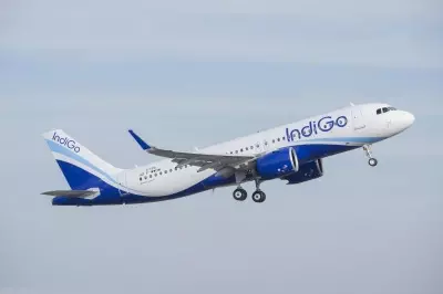 IndiGo net profit doubles to Rs 1,895 crore in Jan-March quarter