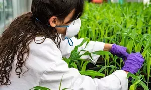 DD Kisan’s two AI anchors to inform farmers about agricultural research, trends (Lead)