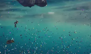 Reducing plastic pollution by 5pc yearly may stabilise ocean  microplastics: Study