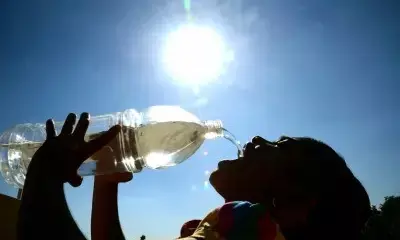 Rajasthan govt orders audit of deaths caused by heatwaves