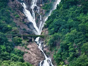 Jeep ride to Dudhsagar waterfall in Goa barred from June 1