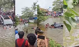 Google Maps turn awry, tourists land in Kerala pond