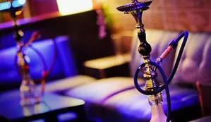 Police bust hookah party in Jaipur hotel, detain 40
