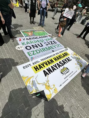 Vigil for disappeared activists in Turkey marks 1,000th week