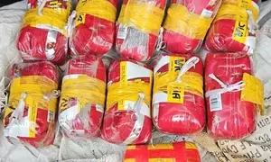 5.47 kg heroin seized in Punjab, seven arrested